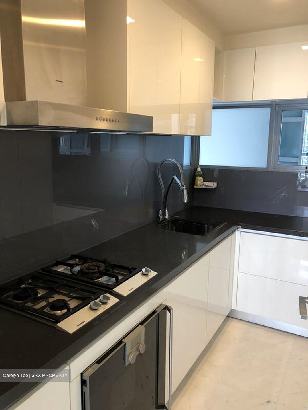 Lincoln Suites (D11), Condominium #500013841